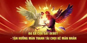Tậ hưởng màn tranh tài kịch tính tại đá gà cựa sắt Debet