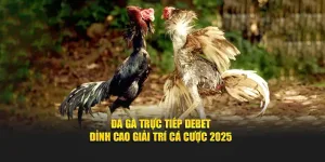 Đá gà trực tiếp debet đỉnh cao giải trí 2025