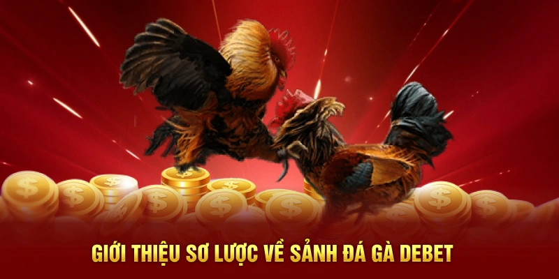 Giới thiệu sơ lược về sảnh đá gà Debet