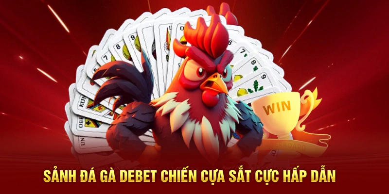 Sảnh đá gà Debet chiến cựa sắt cực hấp dẫn