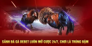 Sảnh đá gà Debet 24/7 chơi là trúng